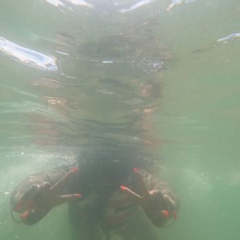 Try Scuba Diving - IN THE OCEAN - Scuba Diving Near Me - San Juan, Puerto Rico