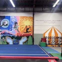 School of Acrobatics and New Circus Arts