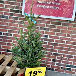 Food Lion Store # 83 - A Cute Charlie Brown Tree