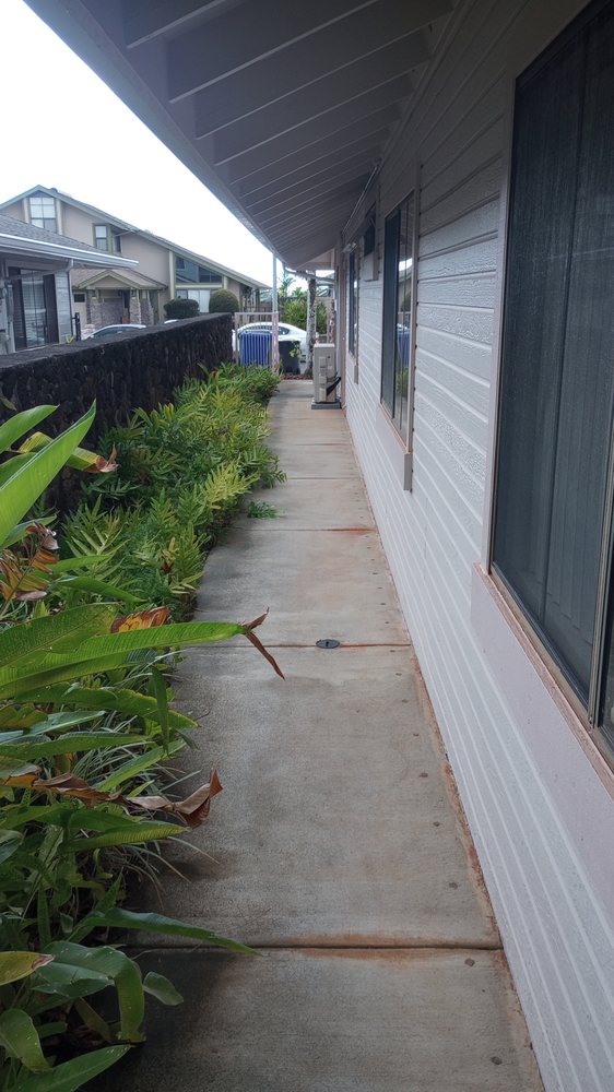 Slide of Papaya Powerwashing