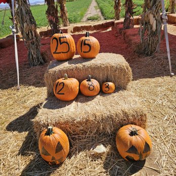 Apple Annie's Produce & Pumpkins - According to the prices they charge, I would never buy a pumpkin when I can buy one for far less money at a grocery store! - Farmers Market Near Me - Willcox, Arizona Apple Annie's Produce & Pumpkins - According to the prices they charge, I would never buy a pumpkin when I can buy one for far less money at a grocery store! - Farmers Market Near Me - Willcox, Arizona