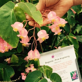 Giverny Gardens - Nurseries & Gardening Near Me - Jupiter, Florida