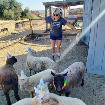 The Happy Heart Haven - undefined - Attraction Farms Near Me - Valley Center, California The Happy Heart Haven - undefined - Attraction Farms Near Me - Valley Center, California