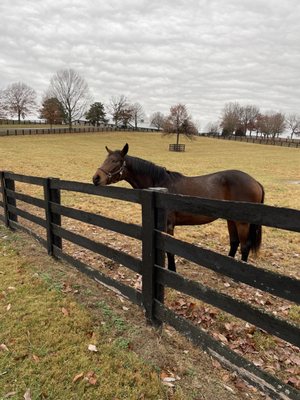 Mill Ridge Farm by null