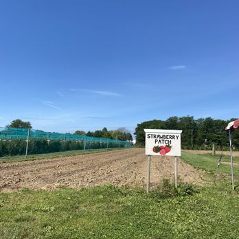 Terhune Orchards - Fruits & Veggies Near Me - Princeton, New Jersey Terhune Orchards - Fruits & Veggies Near Me - Princeton, New Jersey