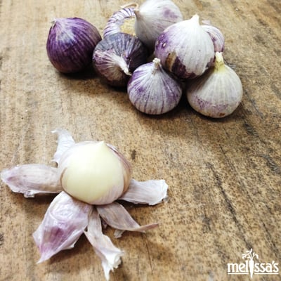 Melissa's / World Variety Produce by null