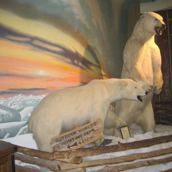 Bass Pro Shops - Polar Bears! - Boating Near Me - Springfield, Missouri