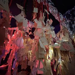 Reveler Experiences