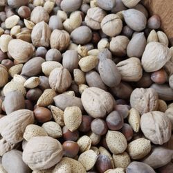 Applacres - NUTS