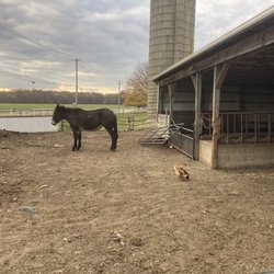 Kings Highway Farm Market
