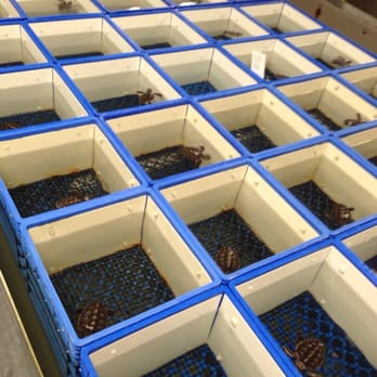 NMFS Galveston Laboratory - Laboratory Testing Near Me - Galveston, Texas NMFS Galveston Laboratory - Laboratory Testing Near Me - Galveston, Texas