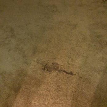 Clean Nest - Carpet before cleaning - Carpet Cleaning Near Me - lexington, Kentucky Clean Nest - Carpet before cleaning - Carpet Cleaning Near Me - lexington, Kentucky