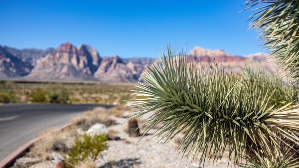 Red Rock Canyon Visitor Center by null