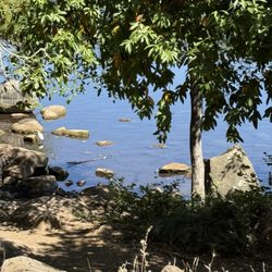 Howarth Park