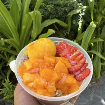 Aloha Bowls and Tea - Acai Bowls Near Me - Honolulu, Hawaii Aloha Bowls and Tea - Acai Bowls Near Me - Honolulu, Hawaii
