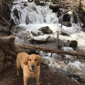 Hunter Creek Waterfall Trail - My happy trail companion. - Hiking Near Me Hunter Creek Waterfall Trail - My happy trail companion. - Hiking Near Me