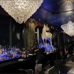 Tiger and Peacock - The bar