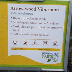 Herring Run Nursery