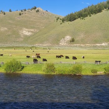 Redfish Riverside Inn - Hotels Near Me - Stanley, Idaho