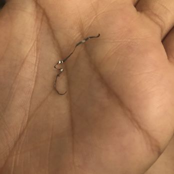 Persis Indian Grill - What my husband choked on while eating his butter chicken. - Indian Near Me - Pooler, Georgia