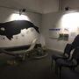 Photo of Sapphire Coast Marine Discovery Centre