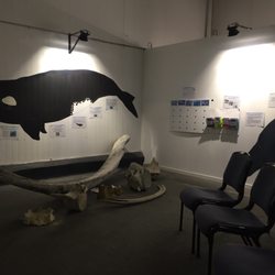 Sapphire Coast Marine Discovery Centre