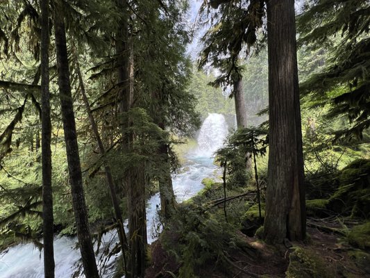 Sahalie Falls by null