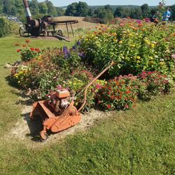 Holy Hill Art Farm