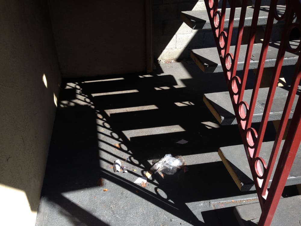 PEPPERTREE APARTMENTS Updated September 2024 13 Photos 1500 27th