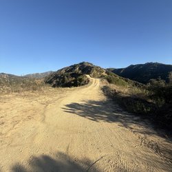 Mt. Bliss