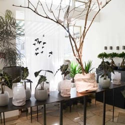 Blumen Fischer - im Laden
