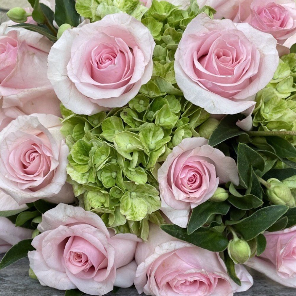 Seed Floral - Florists Near Me - Los Angeles, California