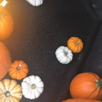 Country Pumpkins - Pumpkins - Pumpkin Patches Near Me - Orland, California