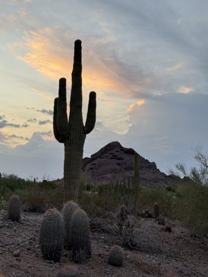 Papago Park by null