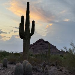 Papago Park
