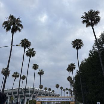 OC Marathon - Start line! - Races & Competitions Near Me - Costa Mesa, California OC Marathon - Start line! - Races & Competitions Near Me - Costa Mesa, California