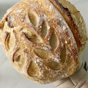 Kneady Whisk - Bakeries Near Me Kneady Whisk - Bakeries Near Me