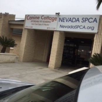 Nevada SPCA - Outside at the NVSPCA - Animal Shelters Near Me - Las Vegas, Nevada Nevada SPCA - Outside at the NVSPCA - Animal Shelters Near Me - Las Vegas, Nevada