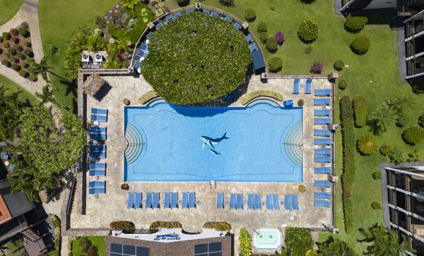Aston Maui Hill Resort by null