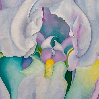 Albuquerque Museum - Albuquerque Museum - Art Museums Near Me - Albuquerque, New Mexico