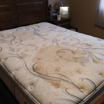 Carpet Masters - Before- Urine Stained Matterss - Carpet Cleaning Near Me - Cambridge, Ontario Carpet Masters - Before- Urine Stained Matterss - Carpet Cleaning Near Me - Cambridge, Ontario