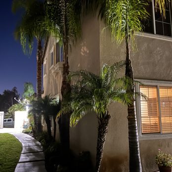 Arrieta Landscape - palm trees in front of a house at night - Landscaping Near Me
