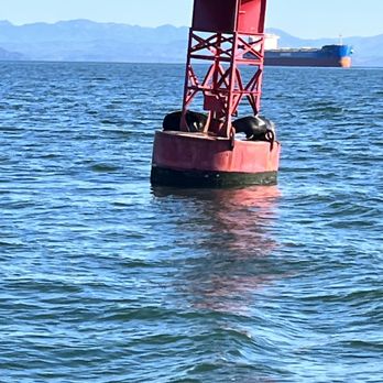 Arrow Tug - Boat Tours Near Me - Astoria, Oregon Arrow Tug - Boat Tours Near Me - Astoria, Oregon