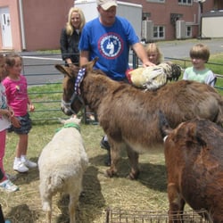 Wesley Nursery School - The petting zoo came for a visit.
