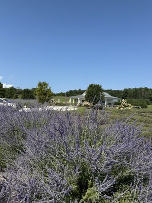 Brys Estate Vineyard & Winery by null