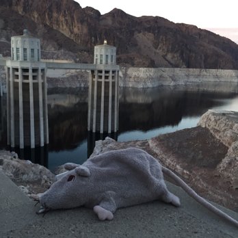 Hoover Dam Discovery Tour - Tours Near Me Hoover Dam Discovery Tour - Tours Near Me