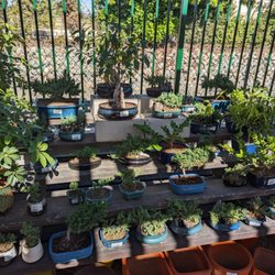 Armstrong Garden Centers