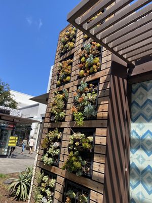 Paraná Empanadas by null