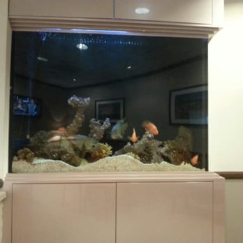 Starpoint Health - Beautiful fish tank in waiting ruin - Cosmetic Surgeons Near Me - Studio City, California Starpoint Health - Beautiful fish tank in waiting ruin - Cosmetic Surgeons Near Me - Studio City, California