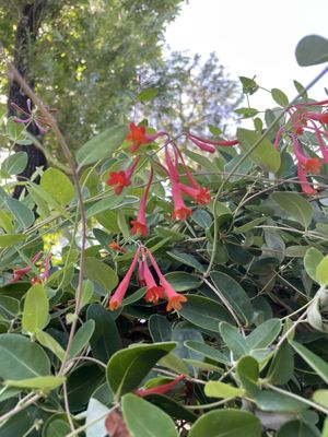 Little River Cooperative by null